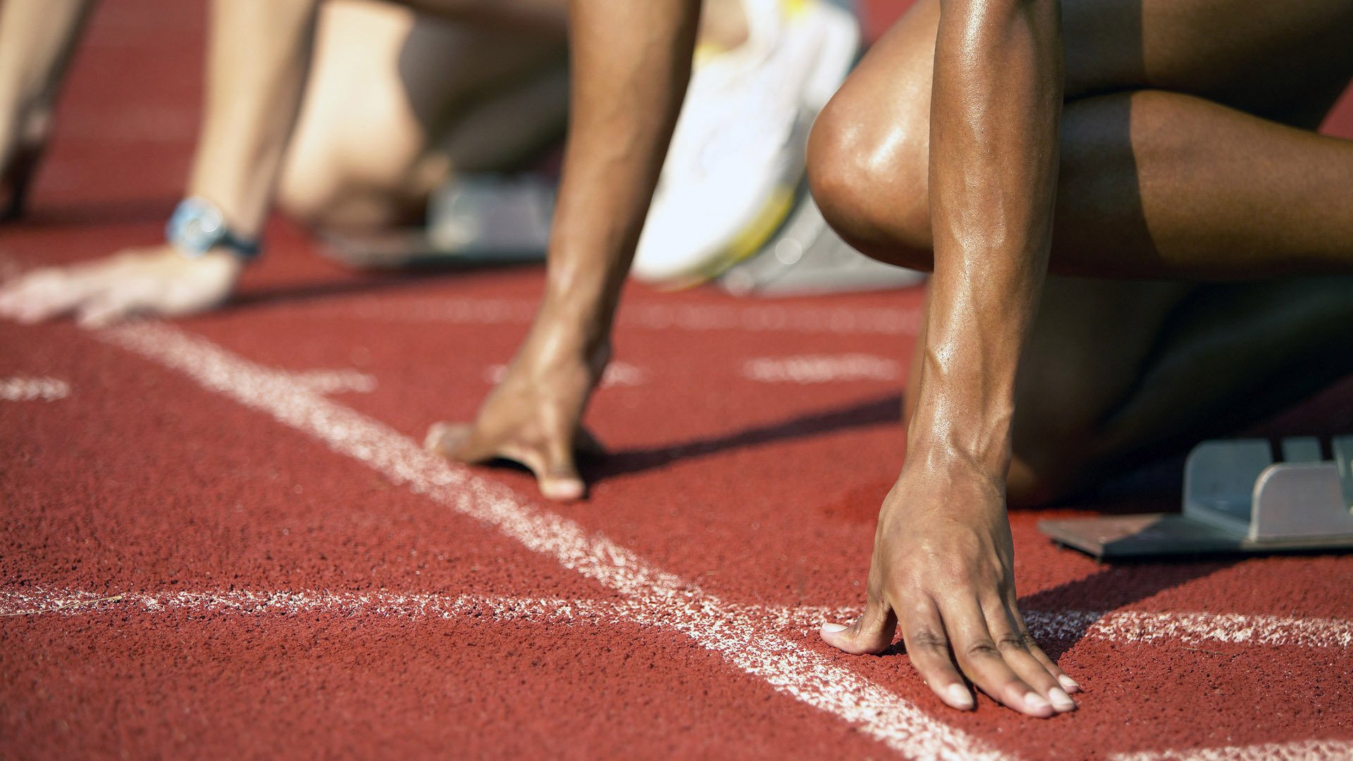 美澳蝶泳节奏图谱对比分析,美国蝶泳